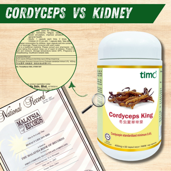Timo Cordyceps King 50 Capsules
